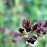 Have a nice weekend everyone!