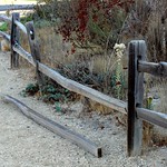 86/365: October 25, 2009