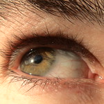 Eye Spy With My Little Eye...