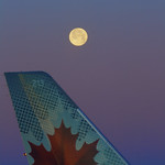 Early Morning Flight (Explore #97)