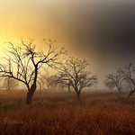 One morning early may ........