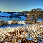 Wentwood Reservoir - Grey hill