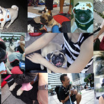 RIP buddy 姐~~要堅強...別忘了我們都愛妳...