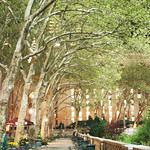 Bryant Park at Night