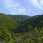 Cape Breton Landscape