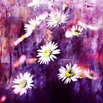 the fragile tragedy you were