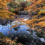 Burning around the Pond