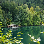 Alpsee