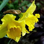 Wir l&auml;uten die neue Woche ein - We Ring In The New Week