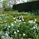 The White Garden Sissinghurst Castle
