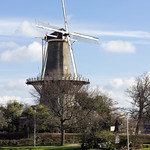 Classic Dutch Windmill