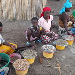 Ilha_de_Mo&ccedil;ambique_14