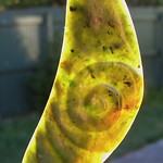 AUTENTICATED NAGI TAHU GREENSTONE CARVING