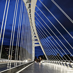 Calatrava Bridge