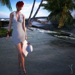 Glam Dreams Jena Adder Dress