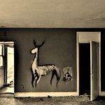 bella vista 023 - Copy