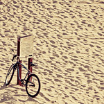 Dreaming of the Beach