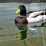 ~~Enjoy your weekend ~~