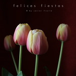 Bon Nadal - Merry Christmas VII by Javier Fraile