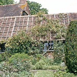 image0029_bearbeitet-5