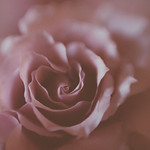 there is always more mystery.