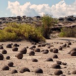 valle-de-la-Luna / Rioja, Argentina, Argentine