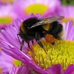 My bags are packed I'm ready to go ... :-)