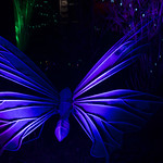20140112_lights_007