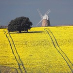 Halnaker windmill