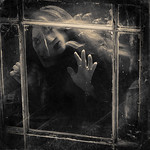 Solving the Equation