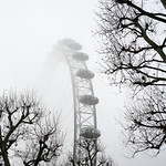 Eye In The Fog by Simon Hadleigh-Sparks