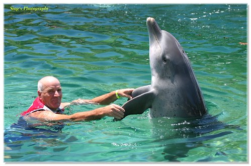 这地方,最令小孩子乐而忘返的就是四大主题公园了:一是海洋世界sea