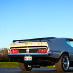 another random mustang shot...