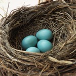 Wishing you a happy Easter!