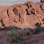 Other Side of the Elephant