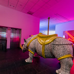 Es posible porque es posible. Raqs Media Collective