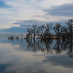 Barr Lake Refuge Reflection