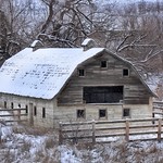 Winter Barnyard--HFF!