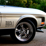 another random Mustang shot