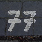 77