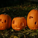 Pumpkins
