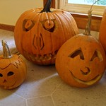 Carved pumpkins