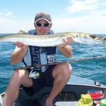 Brent Hodges, Swan Bay