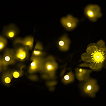 FLOWER LIGHTS .............