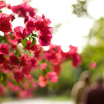 walking [but not] after midnight