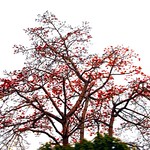 The time is passing by