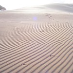 Rippled sand