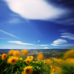 Rowena Crest, 22 seconds