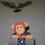 Evacuees' Press Conference