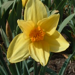 * heavenly springs rebirth*